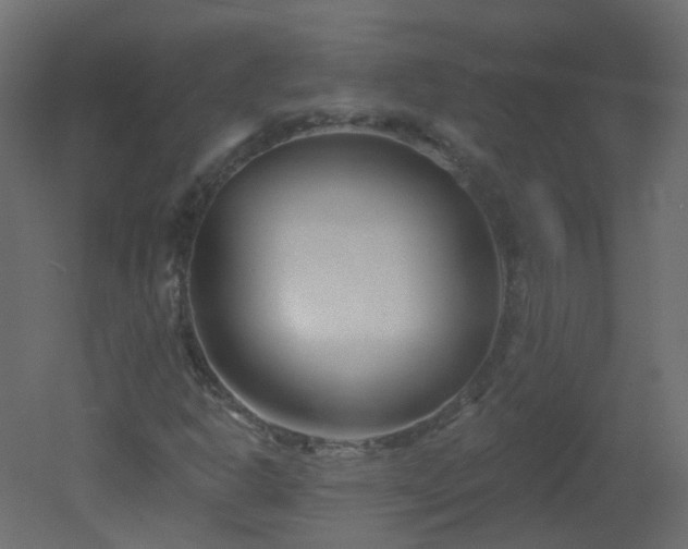 X0000051861302200506241310