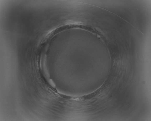 X0000051861303200506241310