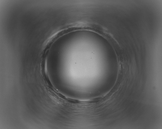 X0000051861304200506241310