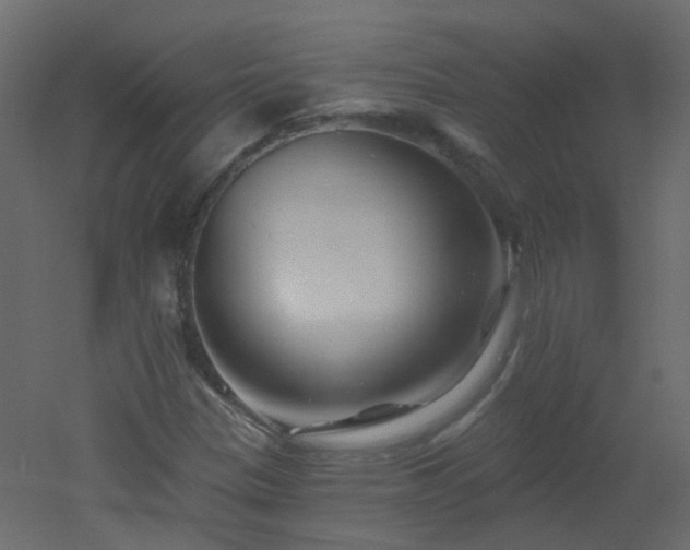 X0000051861305200506241310