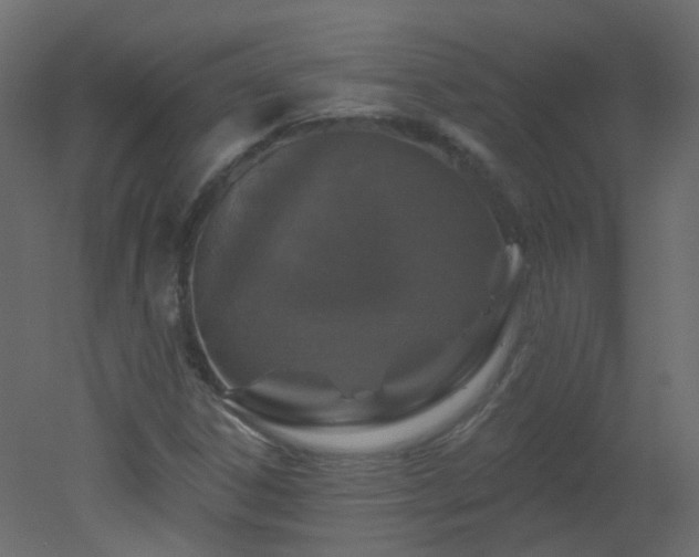 X0000051861306200506241310