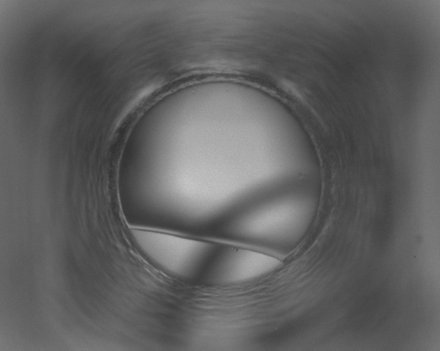 X0000051861307200506241310