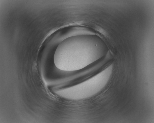 X0000051861308200506241310