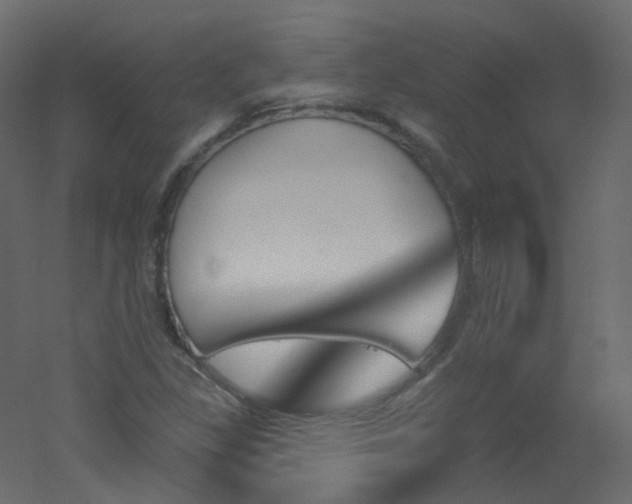 X0000051861309200506241310