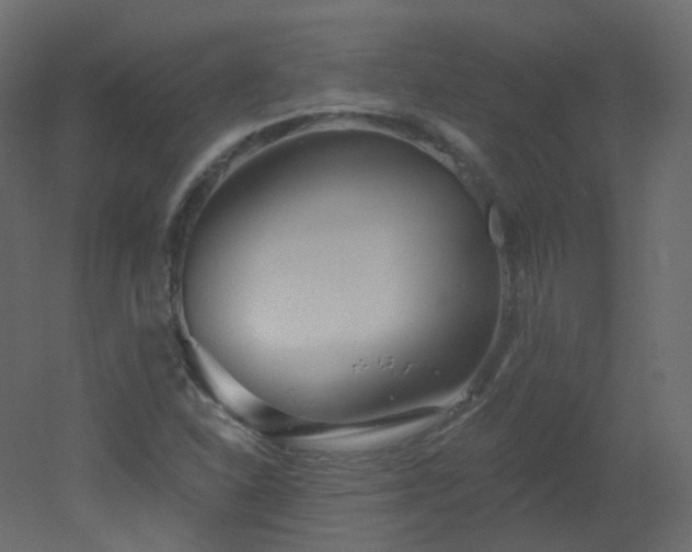 X0000051861310200506241310