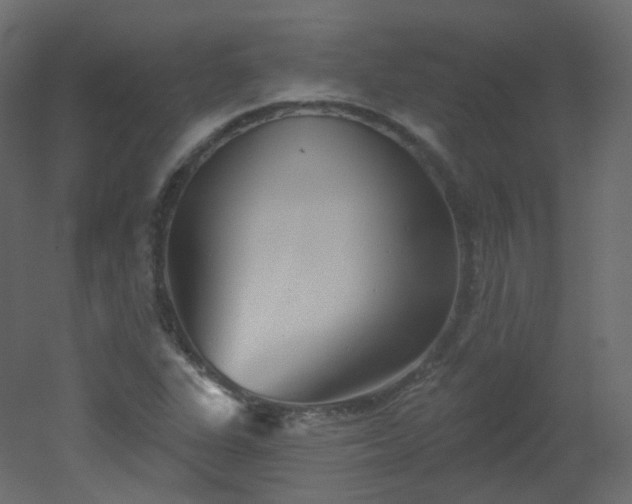 X0000051861311200506241310