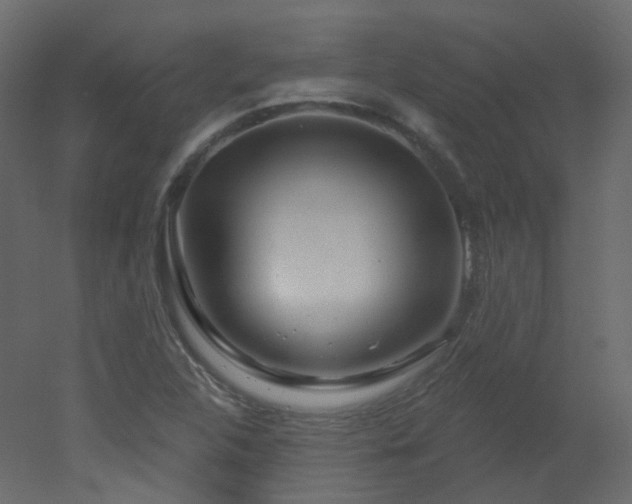 X0000051861312200506241310