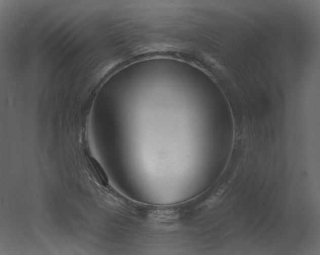 X0000051861313200506241310