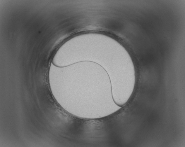 X0000051861314200506241310