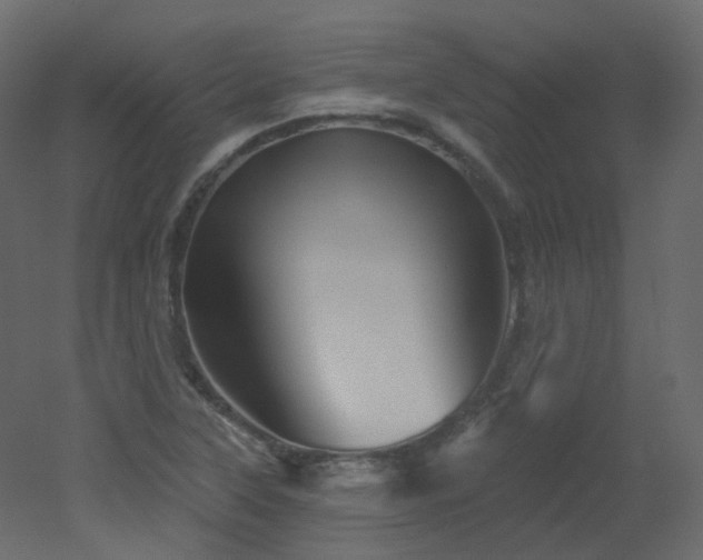 X0000051861315200506241310