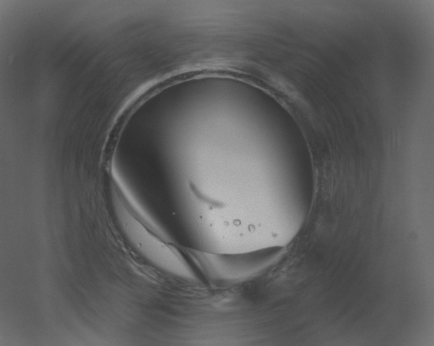 X0000051861316200506241310