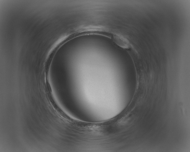 X0000051861317200506241310