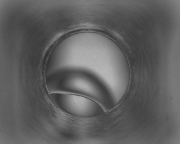 X0000051861318200506241310