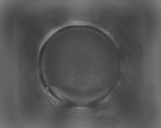 X0000051861319200506241310