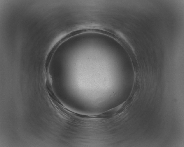 X0000051861320200506241311