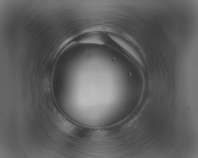 X0000051861321200506241311