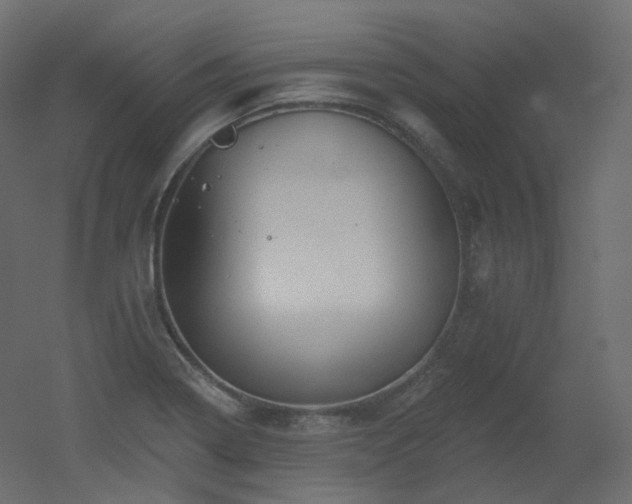 X0000051861322200506241311