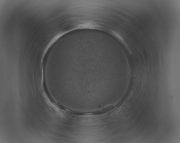 X0000051861323200506241311