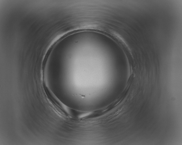 X0000051861324200506241311