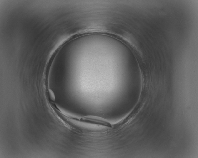 X0000051861325200506241311