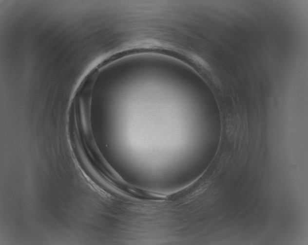 X0000051861326200506241311