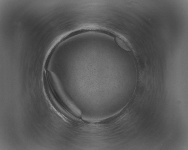 X0000051861327200506241311