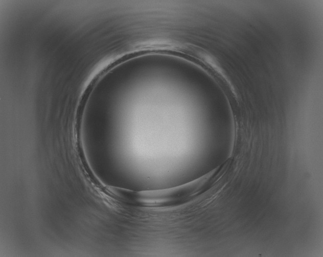 X0000051861328200506241311