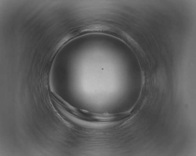 X0000051861329200506241311