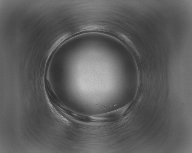 X0000051861330200506241311