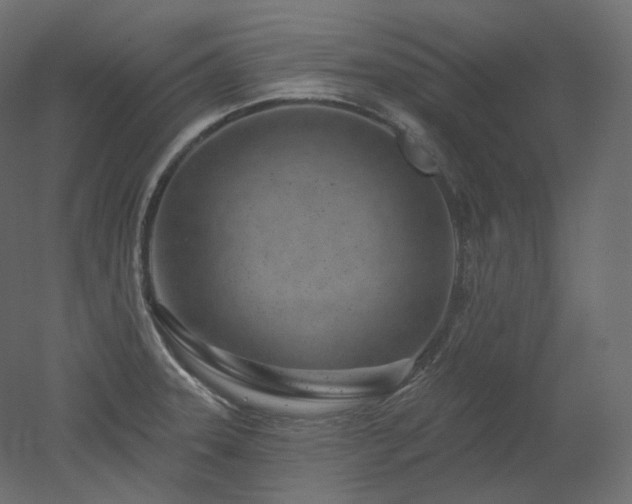 X0000051861331200506241311