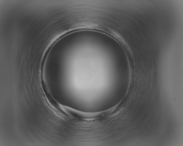 X0000051861332200506241311