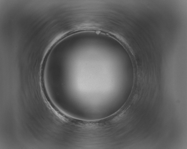 X0000051861333200506241311