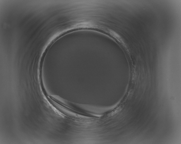 X0000051861334200506241311