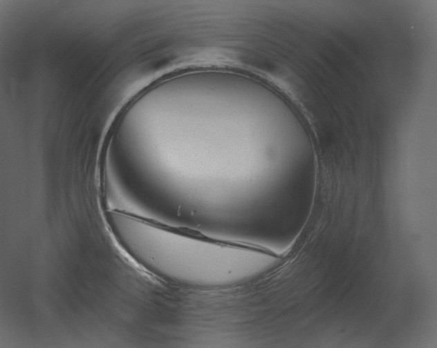 X0000051861335200506241311