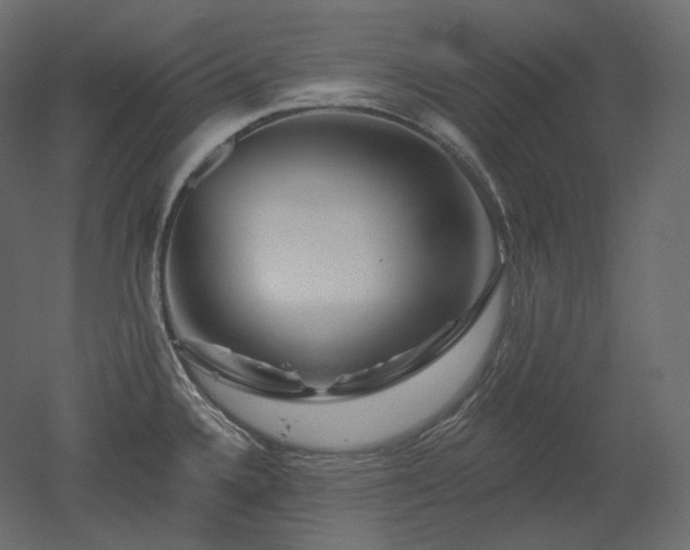 X0000051861336200506241311