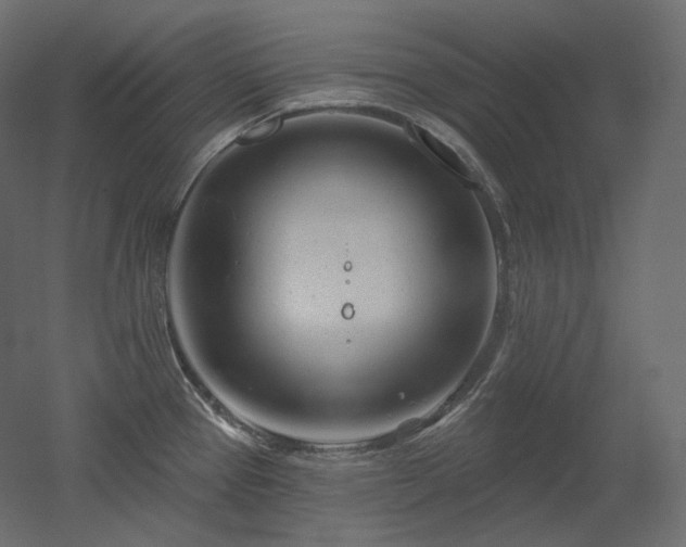 X0000051861337200506241311