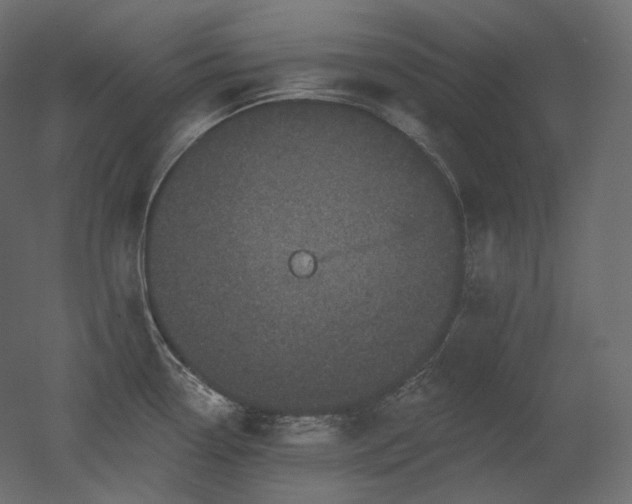 X0000051861338200506241311