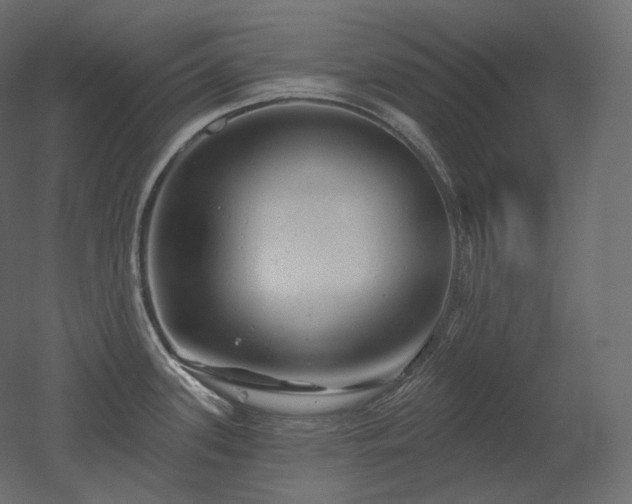 X0000051861339200506241311