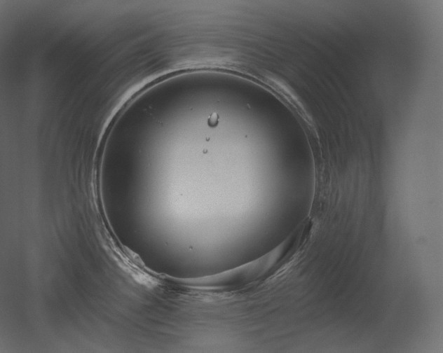 X0000051861340200506241311