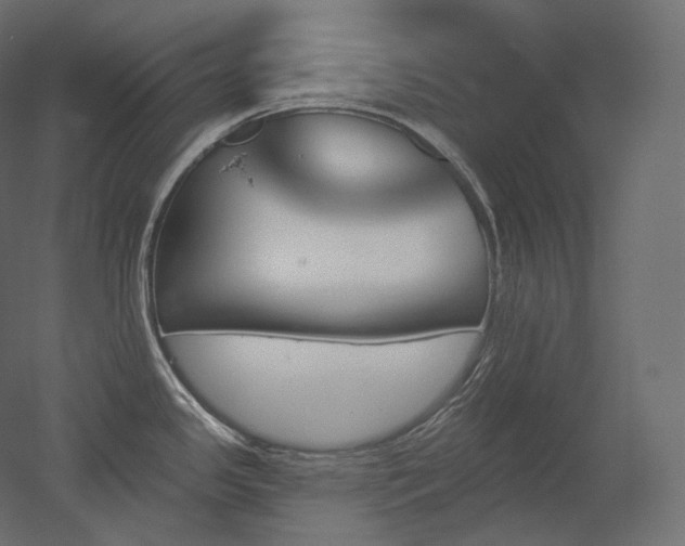 X0000051861341200506241311