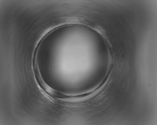 X0000051861342200506241311