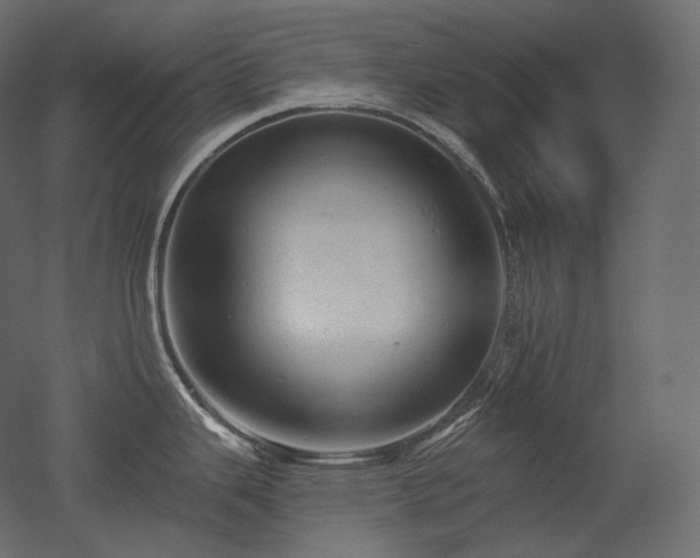 X0000051861343200506241311