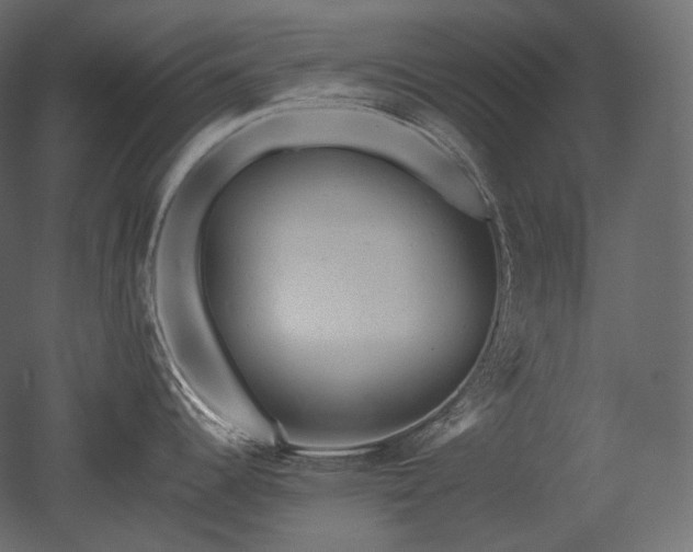 X0000051861344200506241311