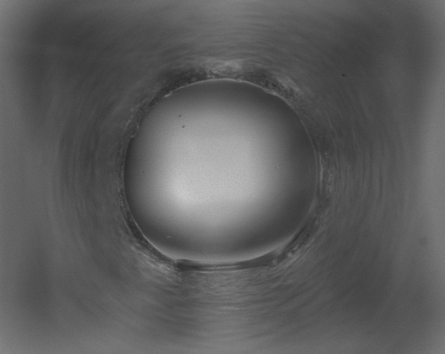 X0000051861345200506241310