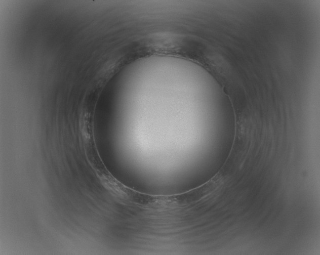 X0000051861346200506241310