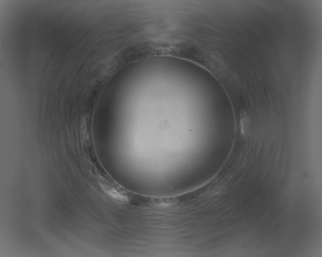 X0000051861347200506241310