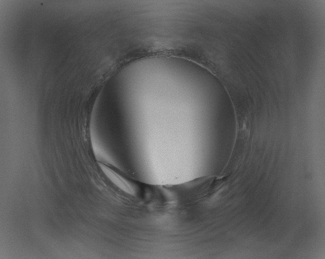 X0000051861348200506241310