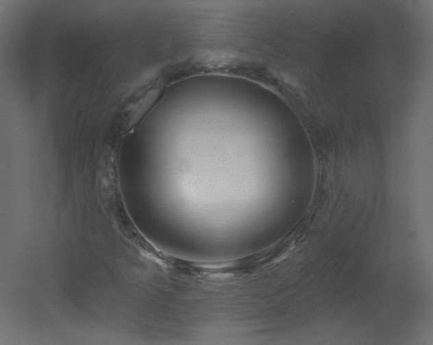 X0000051861349200506241310