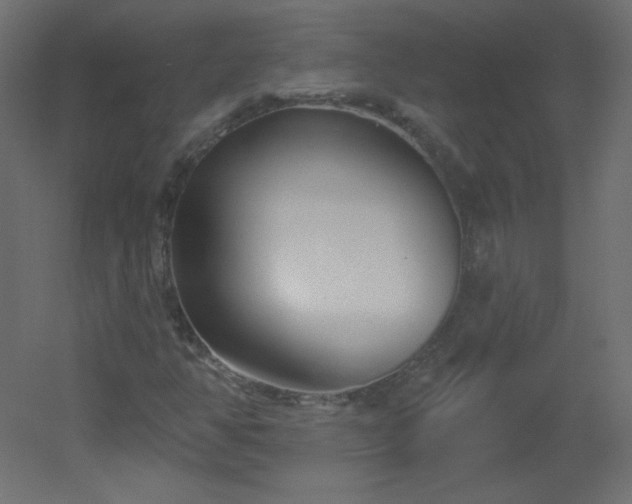 X0000051861350200506241310