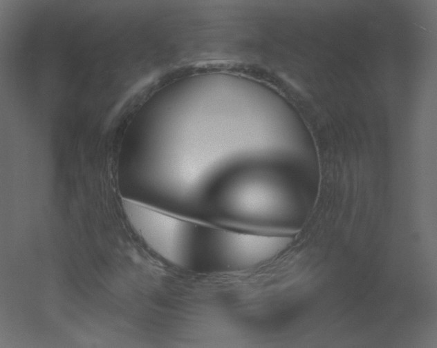 X0000051861351200506241310